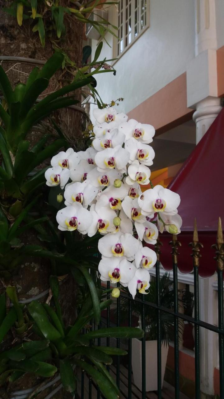 Pousada Casablanca Vila do Abraao Екстер'єр фото